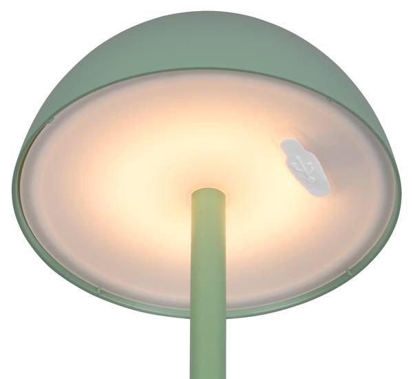 Tischlampe RICARDO Grün