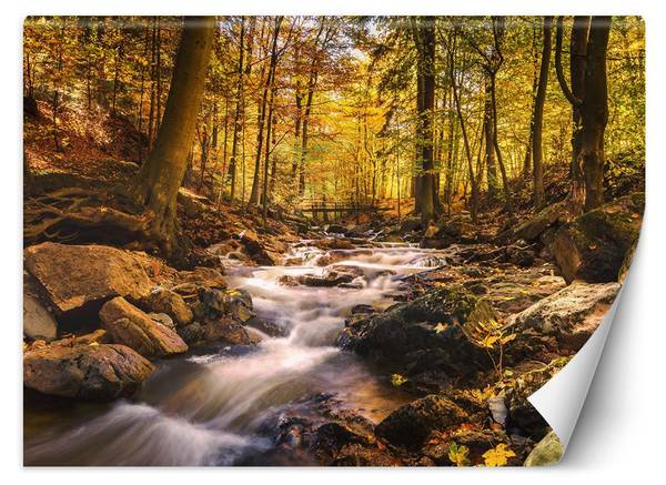Fototapete Waldbach im Herbst 200 x 140 cm