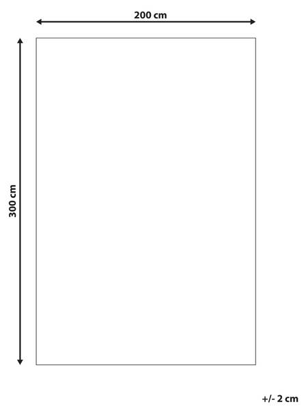 Teppich GAYA 200 x 300 cm