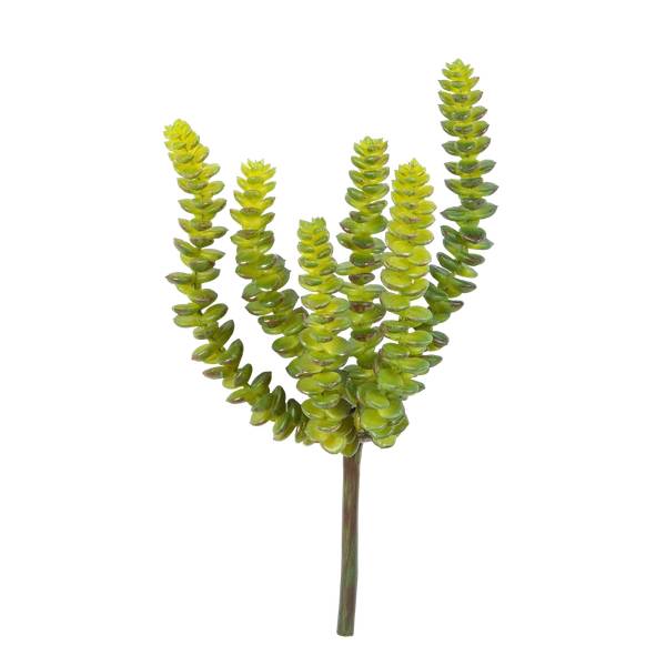 Künstliche Crassula Hedi Grün - Kunststoff - 10 x 17 x 10 cm