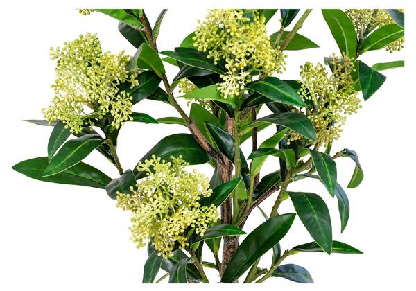 Künstliche Pflanze Skimmia Grün - Polypropylen - 40 x 75 x 40 cm