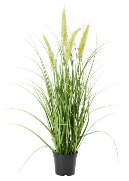 Kunstpflanze PENNISETUM I Grün - Holzwerkstoff - 1 x 1 x 1 cm