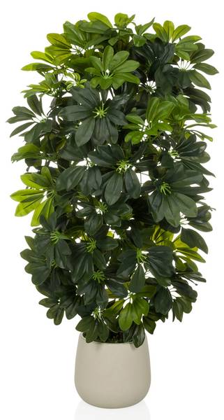 Kunstpflanze Schefflera 2 Grün - Kunststoff - 48 x 110 x 45 cm