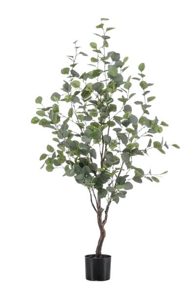 Künstlicher Eucalyptus Baum Christopher 50 x 120 x 50 cm