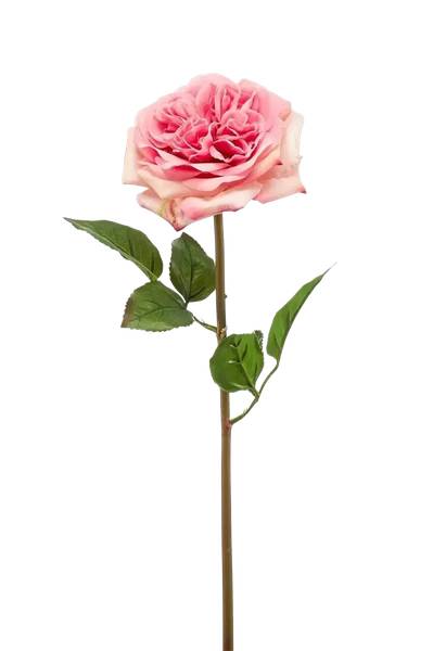 Künstliche Rose Fleur Pink - Kunststoff - 1 x 60 x 1 cm