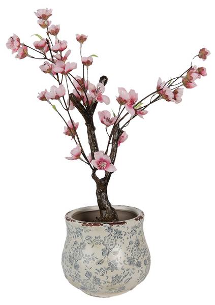 Blumentopf Chensi kaufen
