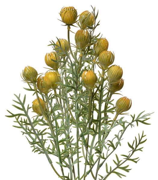 Kunstblume 80270 Gelb - Kunststoff - 16 x 47 x 16 cm