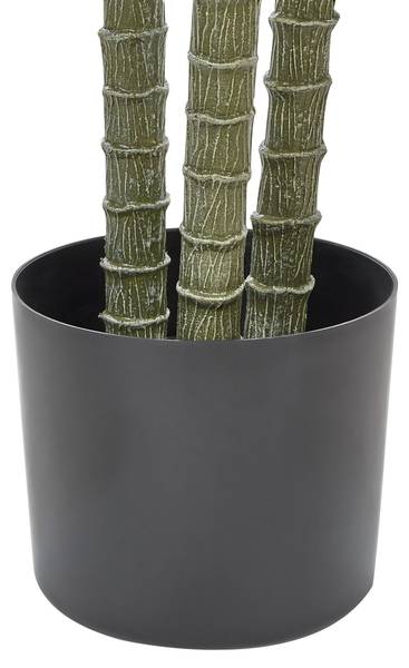 Kunstplant DRACAENA ANITA 88 x 198 x 88 cm