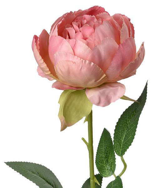 Kunstblume Rose 91285 Pink - Kunststoff - 8 x 62 x 8 cm