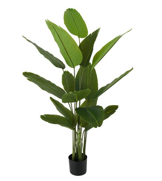 Plante artificielle Canna Vert - Résine synthétique - 86 x 150 x 86 cm