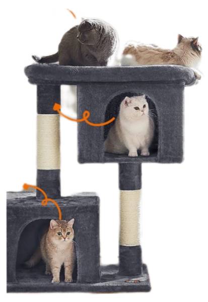 Katzenbaum Paris Grau