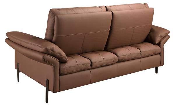Canapé 6242 Marron - Tissé à plat - Cuir synthétique - Pin - Acier inoxydable 18/0 - 195 x 94 x 118 cm