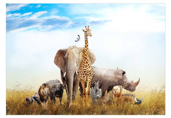 Vliestapete Tier Yek 400 x 280 cm