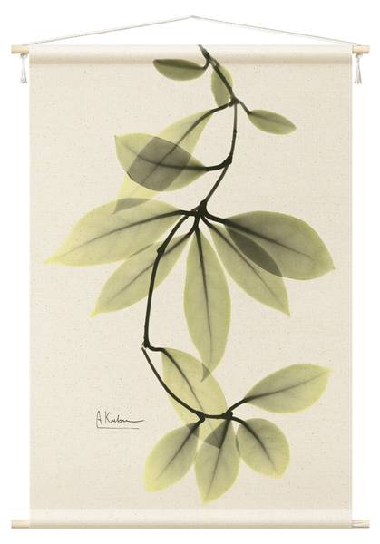 Wandteppich X-Ray Porzellanblumenblätter 110 x 165 cm