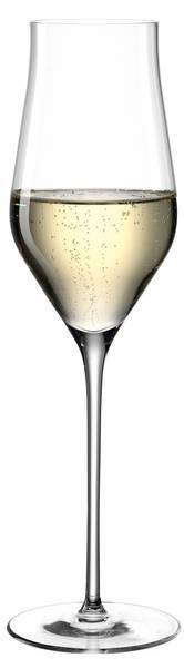 Champagnerglas Brunelli 340 ml Glas - 8 x 26 x 8 cm