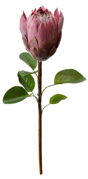 Kunstblume 90510 Violett - Kunststoff - 10 x 65 x 10 cm