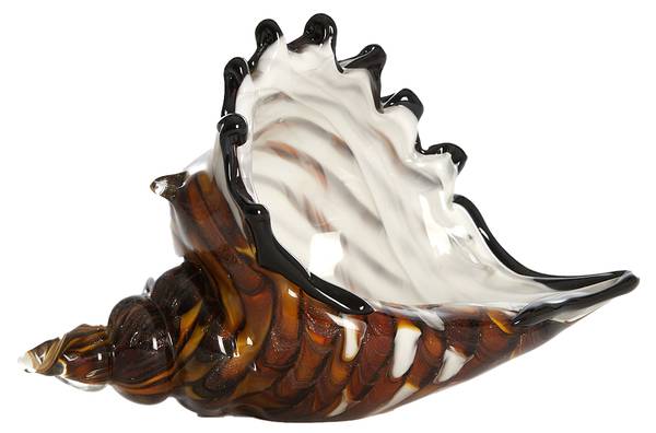 Ornament MUSCHEL Braun - Glas - 10 x 12 x 22 cm