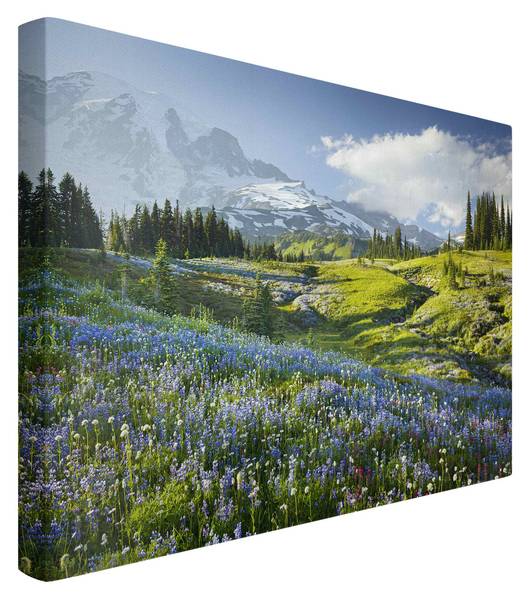 Akustikbild Bergwiese mit Blumen 210 x 140 cm