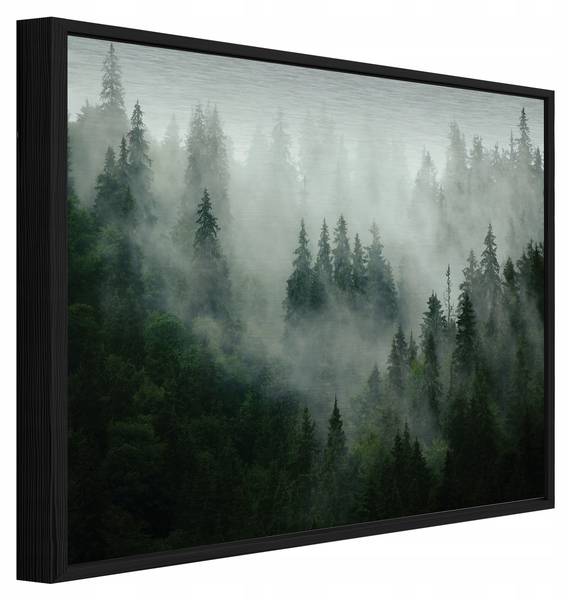 Bilder mit Rahmen Wald im Nebel ADS16384 120 x 80 cm