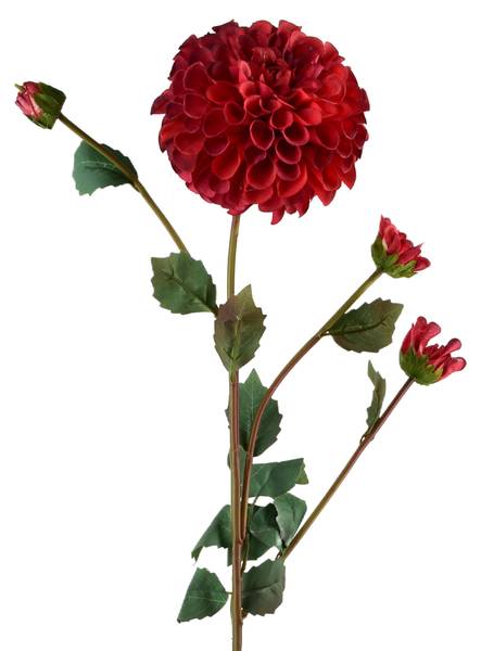 Kunstblume VIRIDIS Grün - Kunststoff - 18 x 77 x 77 cm