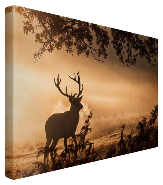 Akustikbild Hirsch Winterwald 150 x 100 cm