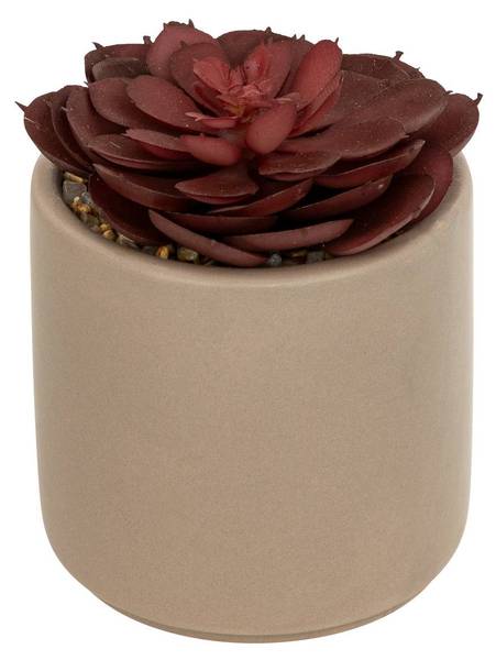 Plante grasse artificielle PARIS Gris