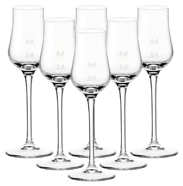Grappagläser Striche Puccini 6er Set kaufen
