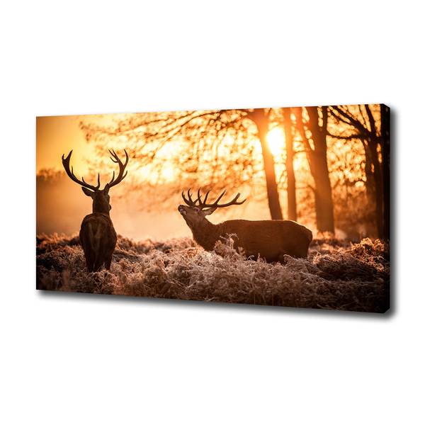 Wandbild Hirsch Sonnenaufgang 100 x 50 cm