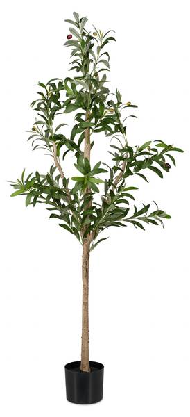 Knstlicher Olivenbaum kaufen | home24