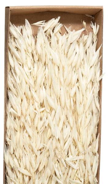Bouquet fleurs séchées LUANA Beige - Fibres naturelles - 2 x 60 x 12 cm