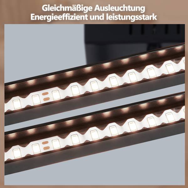 LED Pendelleuchte Burns Ⅲ Schwarz - Flammenanzahl: 2
