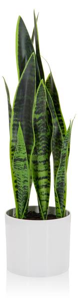 Kunstpflanze SANSEVIERIA Grün - Kunststoff - 16 x 65 x 16 cm