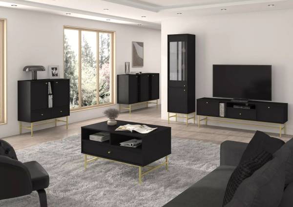 TV-Schrank Sakai 3 2K 1S - TYP 313 Schwarz