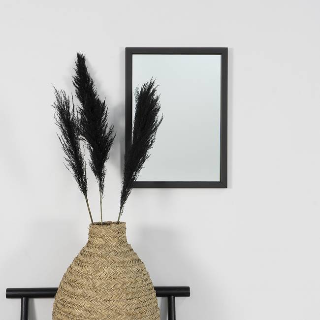 Spiegel Rushall II 40 x 55 x 3cm Schwarz/Schwarz Metall, pulverbeschichtet 40 x 55 x 3cm