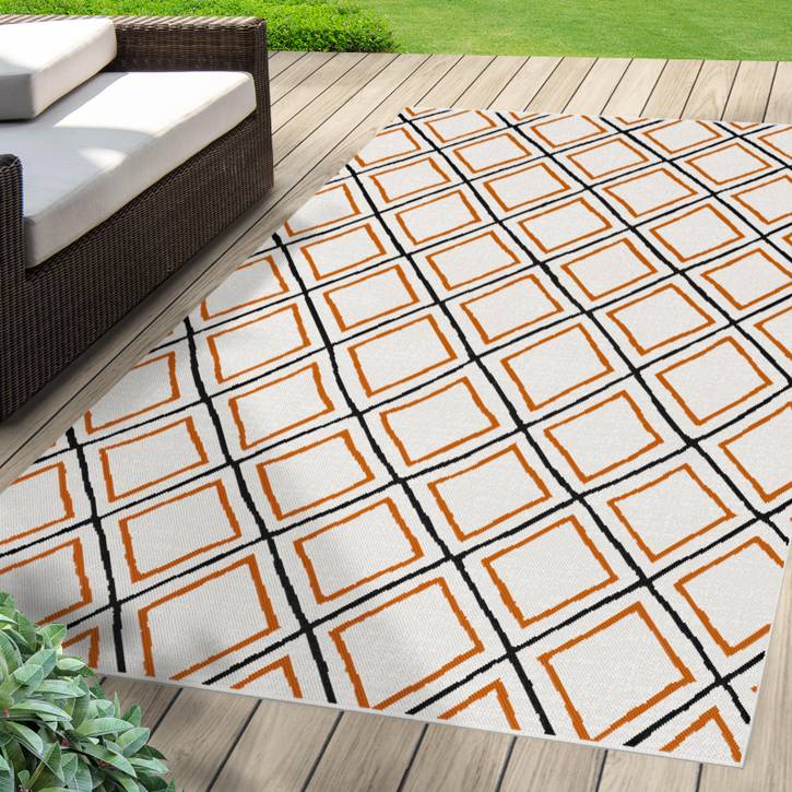 Sam S Club Indoor Outdoor Rugs Two Birds Home