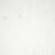 Esstisch Fjord I - (erweiterbar) - Kiefer massiv - Kiefer Weiß / Kiefer Bernstein - 78 x 78 cm