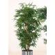 Kunstpflanze Bambusbaum - Textilgewebe - Grün