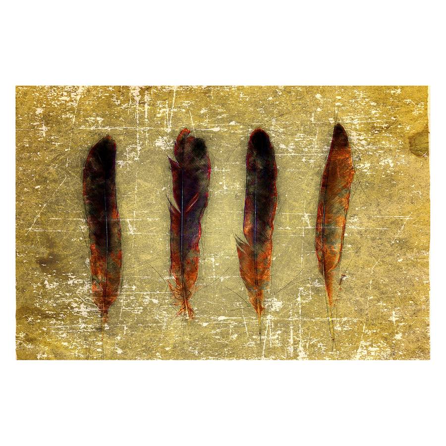 Feathers Four Impression Toile Sur Four Feathers Impression Sur Toile Impression Sur Toile fyIY7vb6g