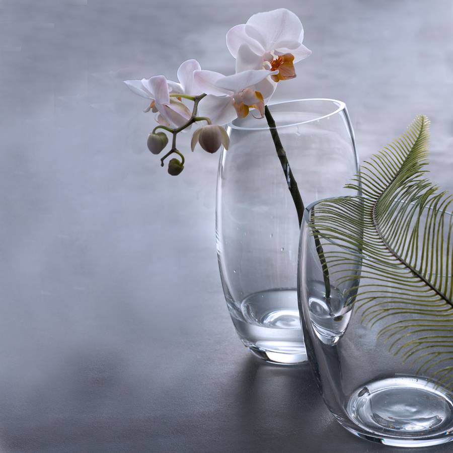 Vases Vases De Vases Teamlot De Teamlot De Teamlot 2VerreTransparent 2VerreTransparent 2VerreTransparent CorWxedB
