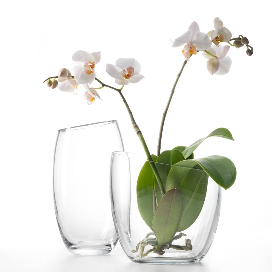 Vases Vases De Vases Teamlot De Teamlot De Teamlot 2VerreTransparent 2VerreTransparent 2VerreTransparent CorWxedB
