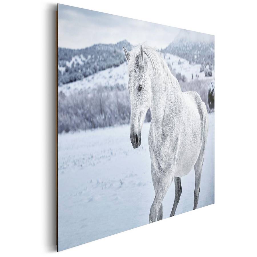 Im Pferd Bild Pferd Bild Pferd Schnee Im Bild Schnee H9EDWY2eI