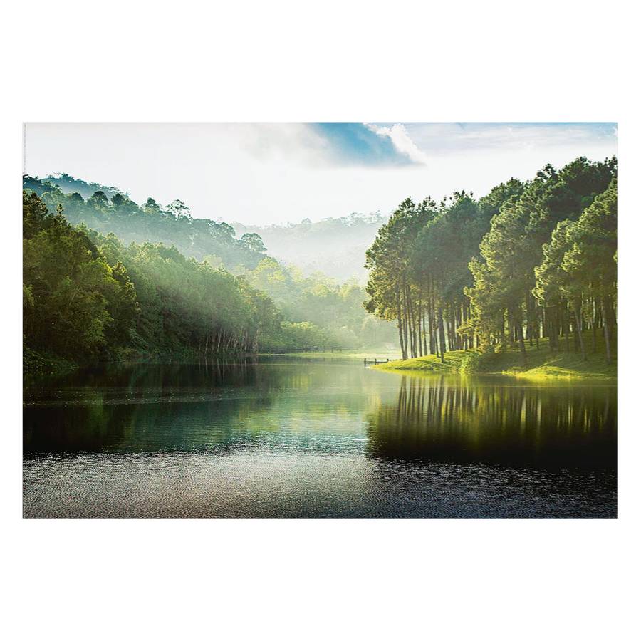 Mystischer Bild Mystischer Wald Bild Mystischer Bild Bild Wald Wald mwvNn80