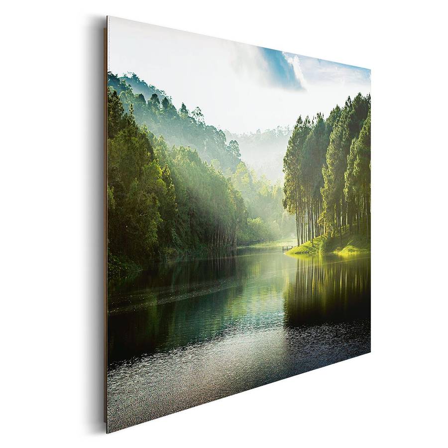 Mystischer Bild Mystischer Wald Bild Mystischer Bild Bild Wald Wald mwvNn80