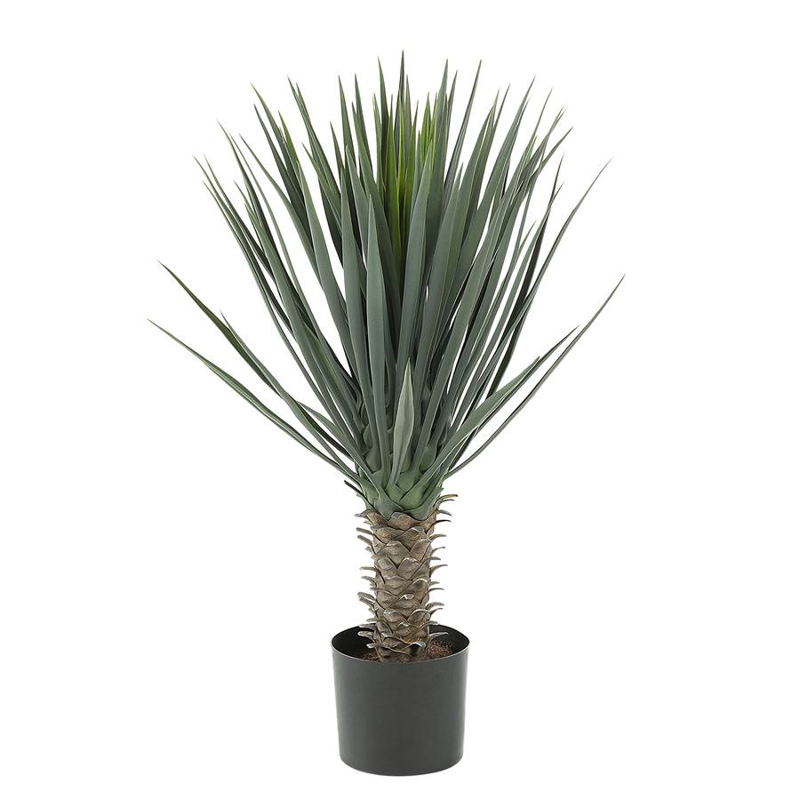 Palmier2 PlastiqueVertNoir ÉlémMatière Plantes Artificielles ÉlémMatière ÉlémMatière Artificielles Palmier2 Palmier2 Plantes Artificielles PlastiqueVertNoir Plantes OPiuTZXk