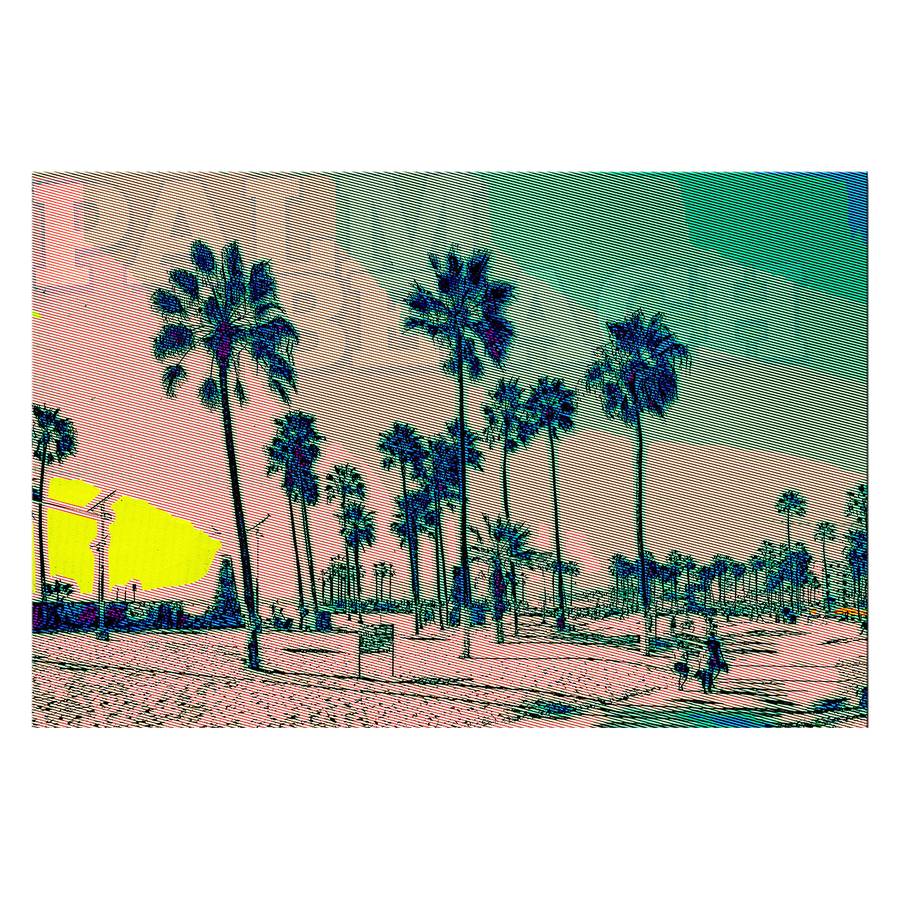 Mehrfarbig Bild Beach Beach Bild Beach Mehrfarbig Mehrfarbig Beach Palm Bild Palm Palm Palm Bild f6b7yg