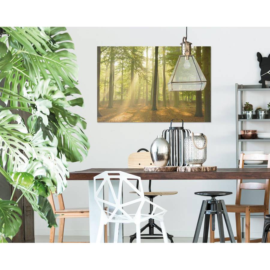 PapierMdfGrün Lichterwald Lichterwald Bild PapierMdfGrün Bild Bild Lichterwald Bild Lichterwald PapierMdfGrün PapierMdfGrün Yfb7gv6y