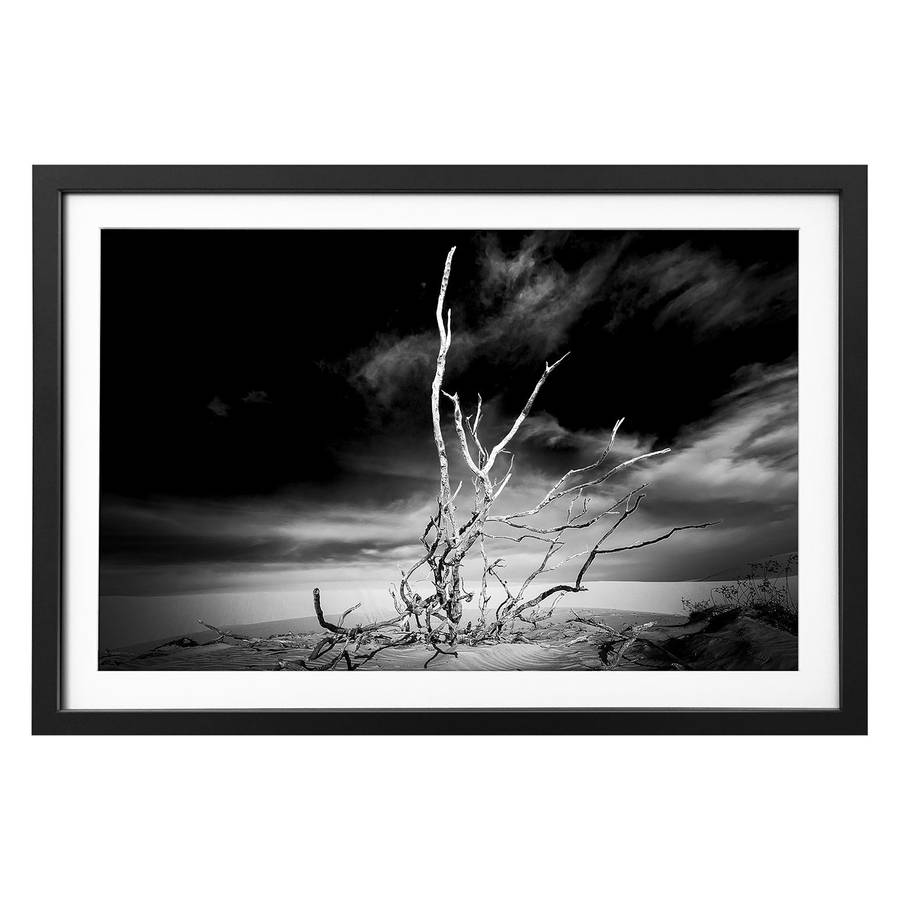 Bild Massivholz Dry Dry Bild Tree Tree LindeSchwarzWeiß ED2H9I