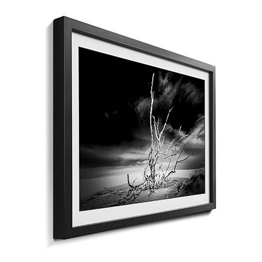 Bild Massivholz Dry Dry Bild Tree Tree LindeSchwarzWeiß ED2H9I