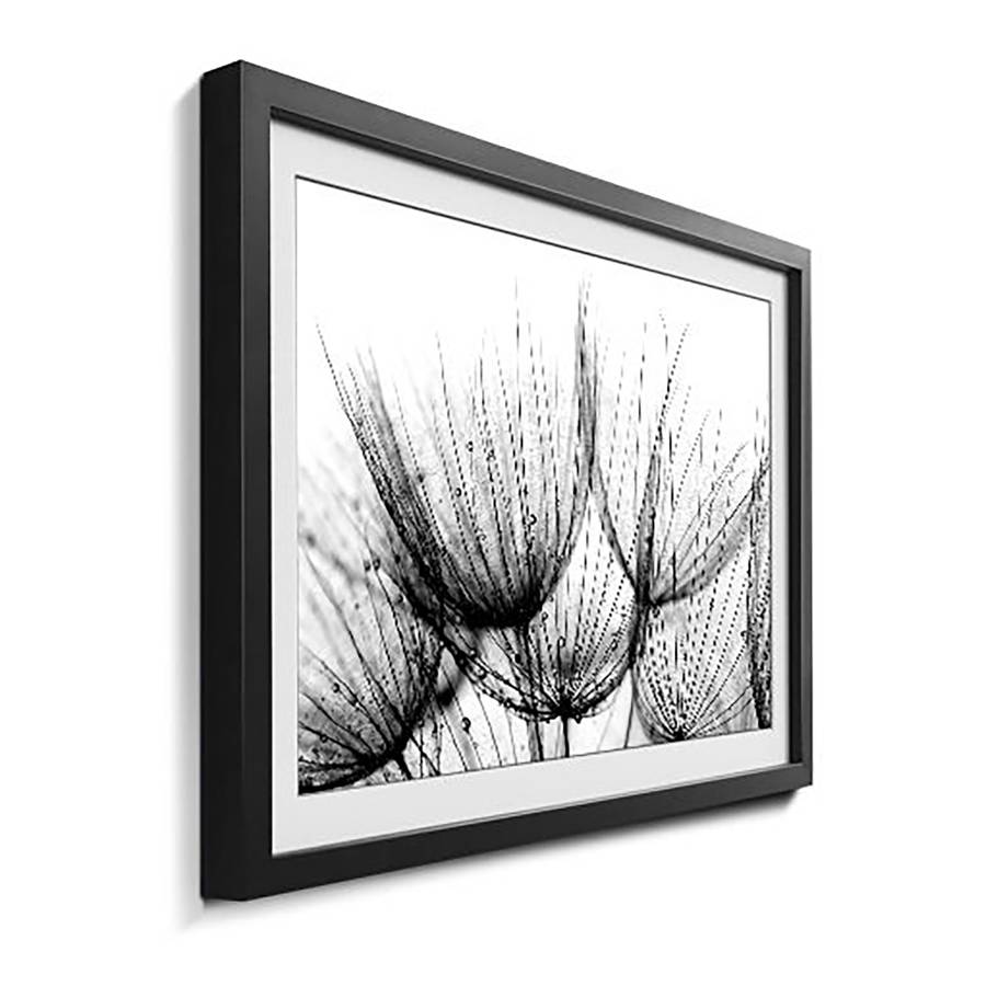 Massivholz LindeSchwarzWeiß Of Detail Bild Dandelion OuPkXZiT