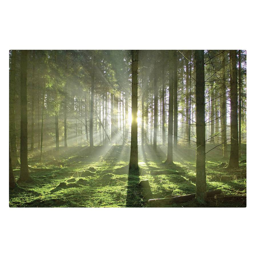 120 Cm Bild FichteMehrfarbig X LeinwandMassivholz Fairytale 180 Spring 8X0OPknw